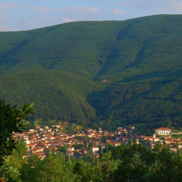 Βαρικό Φλώρινας